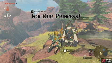 ‘For Our Princess’ side adventure in Zelda: Tears of .